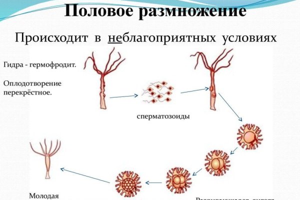 Ссылка на сайт гидра в тор браузере