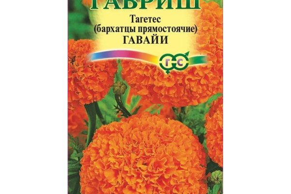 Кракен 16 at