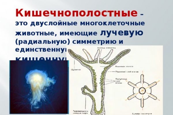 Кракен онион ссылка на тор