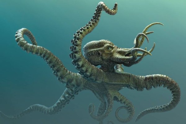 Как зайти на kraken маркетплейс