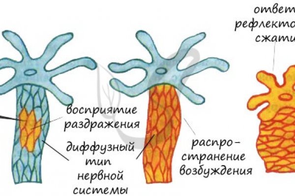 Кракен сайт официальный kraken clear com