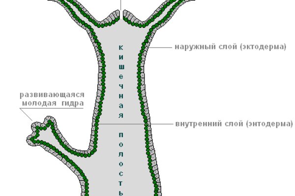 Кракен krakens13 at